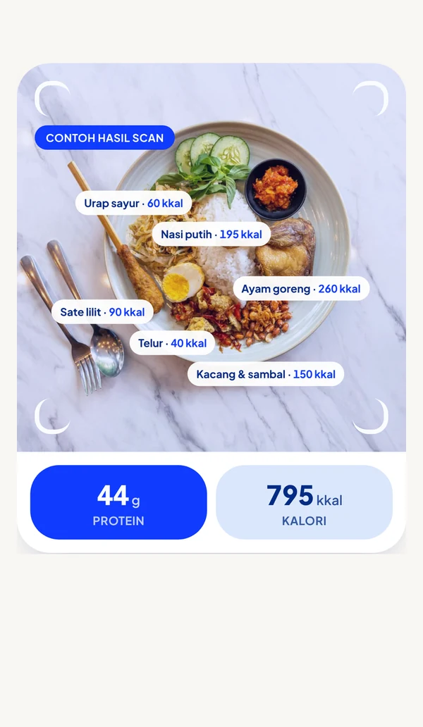 Layar Myna Fit: contoh hasil scan foto sepiring nasi dan lauk dengan perkiraan kalori tiap makanan